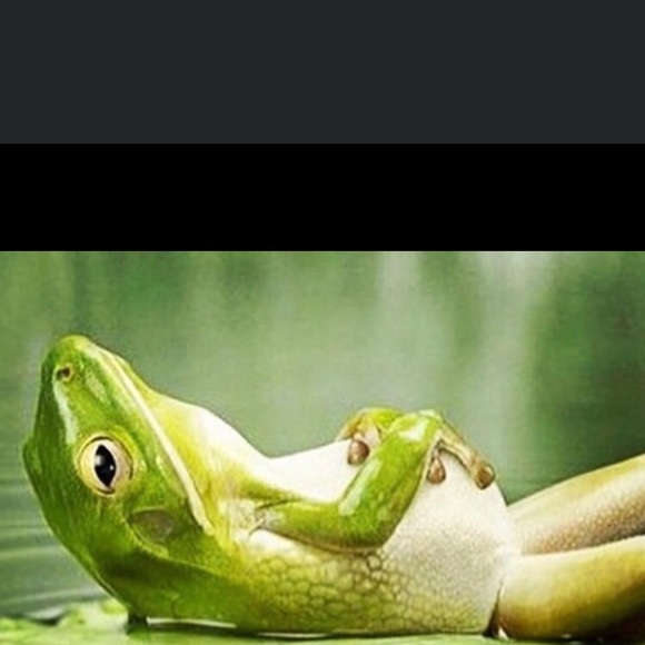 Meet your Posher, Jamie - Picture 1 of 3